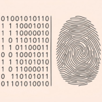 The ATS Paradox: Why Modern Resumes Are Growing Longer and More Personal